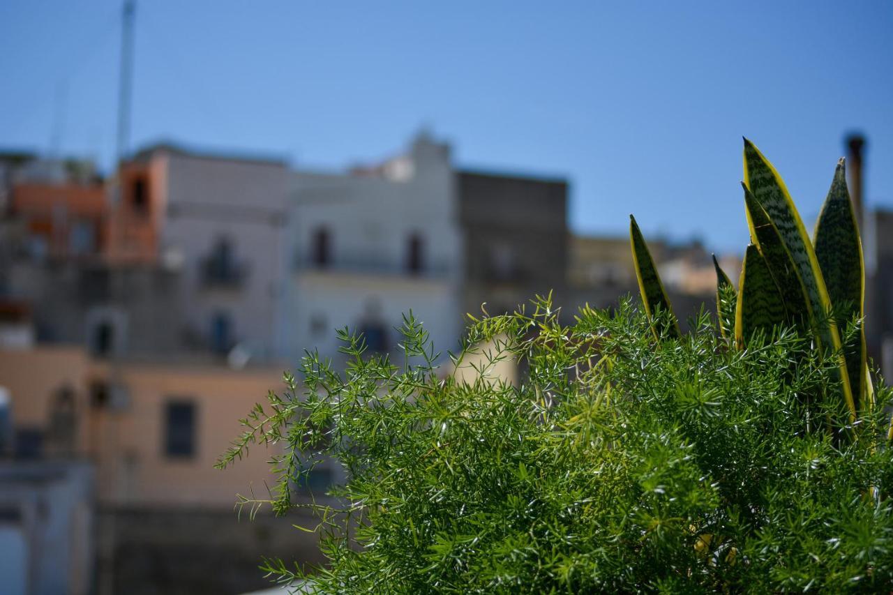 Willa Casa Levante Canosa di Puglia Zewnętrze zdjęcie